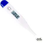Casey Blue Electronic Thermometer