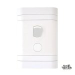 Lesco 2 Pole Flush Isolator Switch with Rectangle Flush
